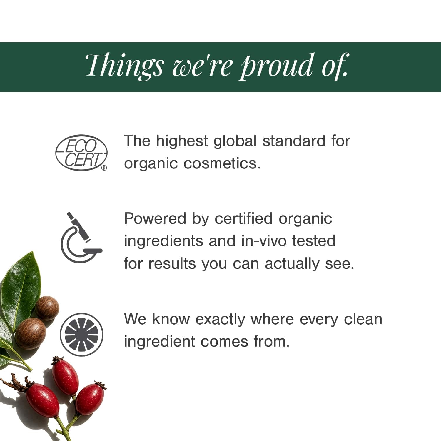 Organic Brightening Face Wash Fortified with Tamanu + Rosehip