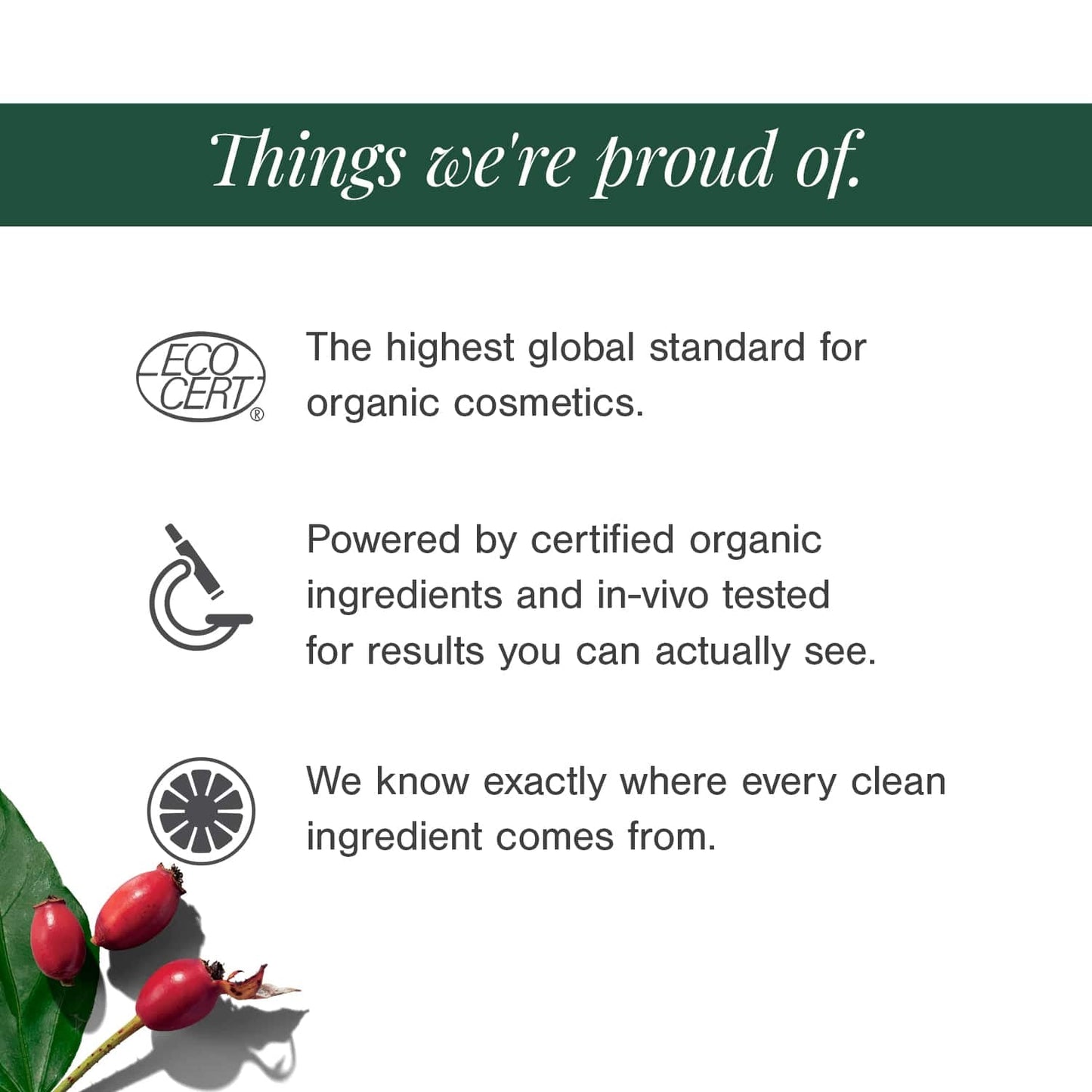 100% Pure & Organic Rosemary Essential Oil