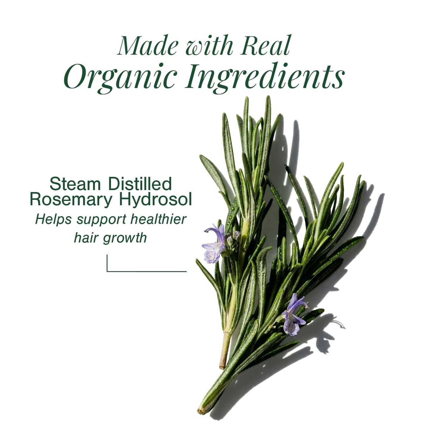 Organic Rosemary Water (Hydrosol)