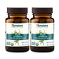 Organic Gymnema