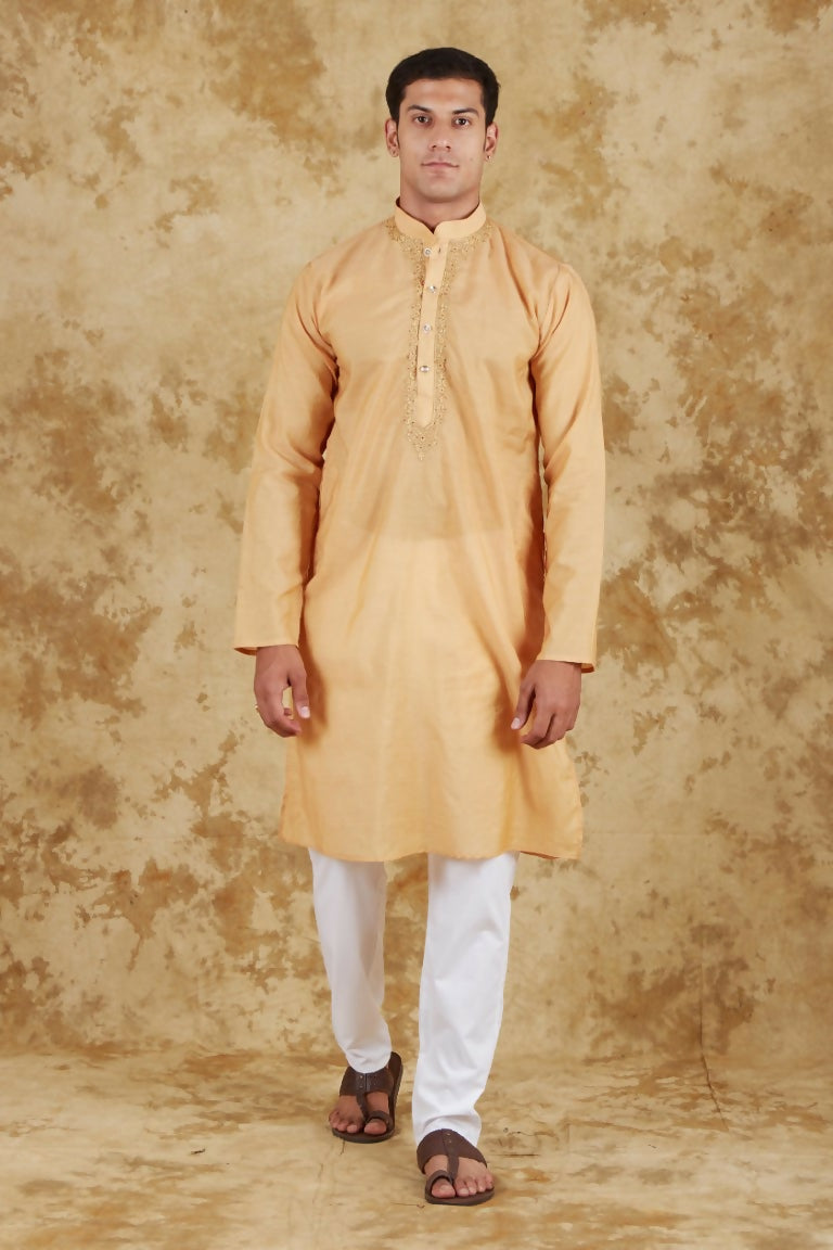 Bluesaanchi Men's Chandery Silk Khaki Embroidered Kurta Set | Swadesiicart