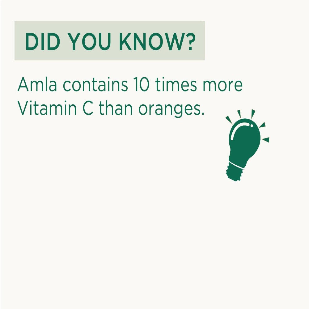 Vitro Naturals I Am Tasty Amla Candy | Swadesiicart