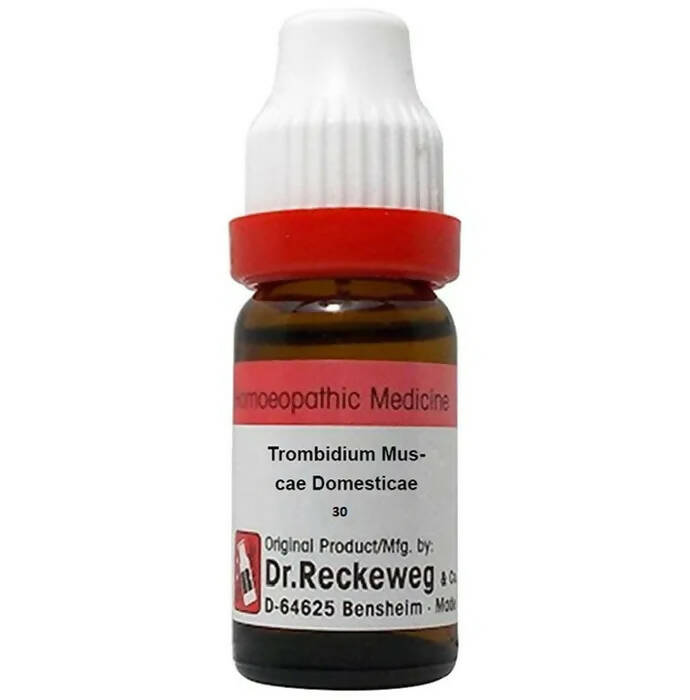 Dr. Reckeweg Trombidium Muscae Domesticae Dilution | Swadesiicart