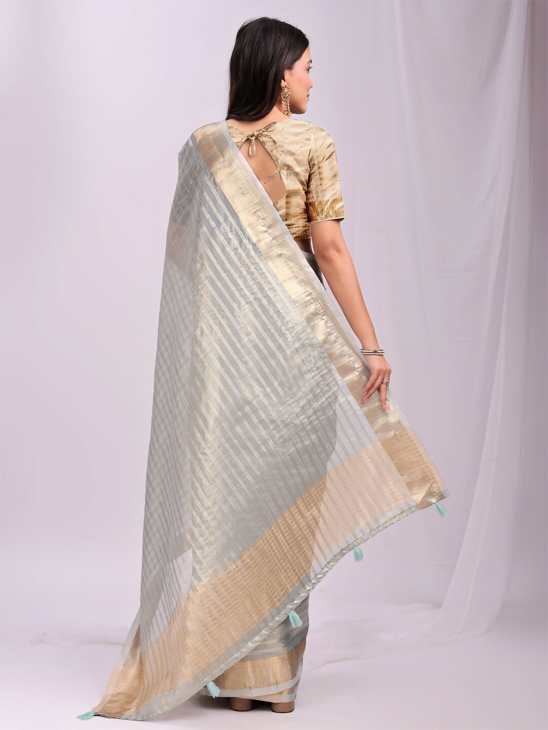 Shree Shyam Fashion Organza Sky Blue Saree