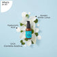 Pilgrim White Lotus Sunscreen Serum SPF 30 PA+++ - Swadesiicart