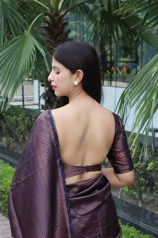 DEIANA'S Beautiful Designer Golden zari Soft Lichi Silk Saree - Purple - Swadesiicart