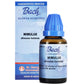 St. George's Bach Flower Remedies Mimulus Dilution | Swadesiicart