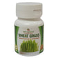 Deep Ayurveda Wheat Grass 500mg Veg Capsules - DEEP AYURVEDA