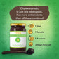 Veda Premium Chyawanprash (Sugar Free) - All Season Jaggery Chyawanprash with Almonds & Saffron, Pure & Fresh | Swadesiicart