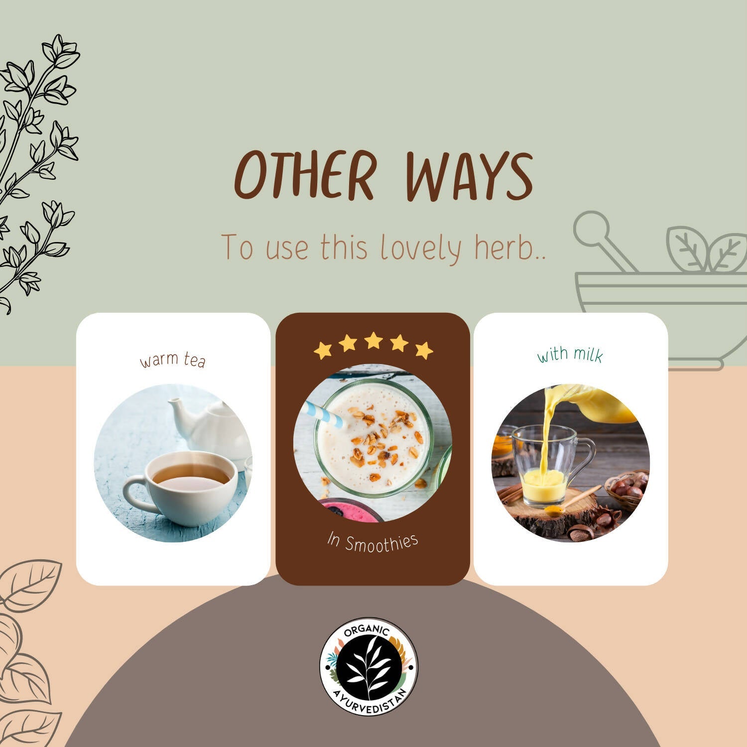 Organic Ayurvedistan Ashwagandha Powder - Swadesiicart