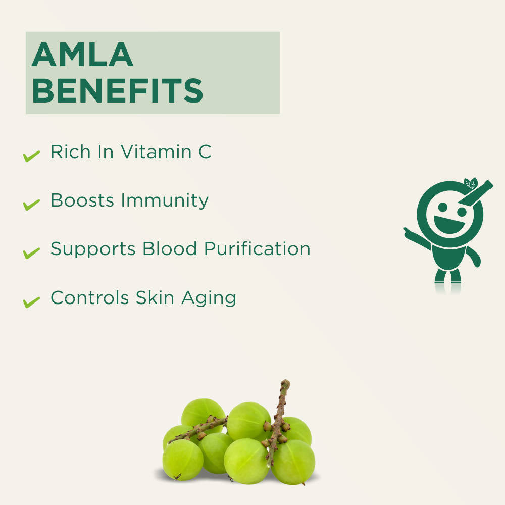 Vitro Naturals I Am Tasty Amla Candy | Swadesiicart