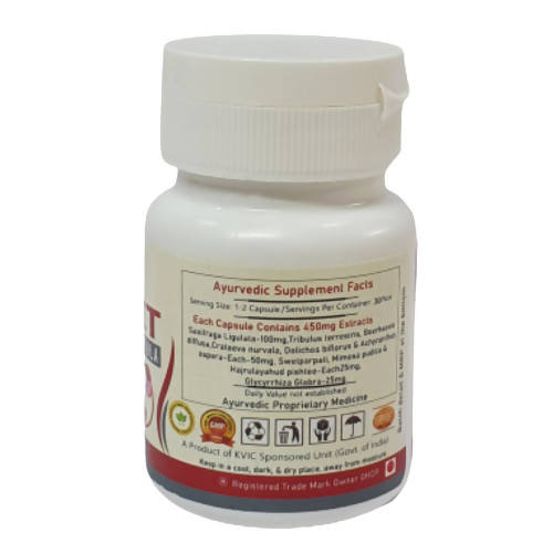 Deep Ayurveda Renfit 500mg Veg Capsules - Swadesiicart