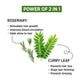 Alps Goodness Rosemary & Curry Leaf Powder - Swadesiicart