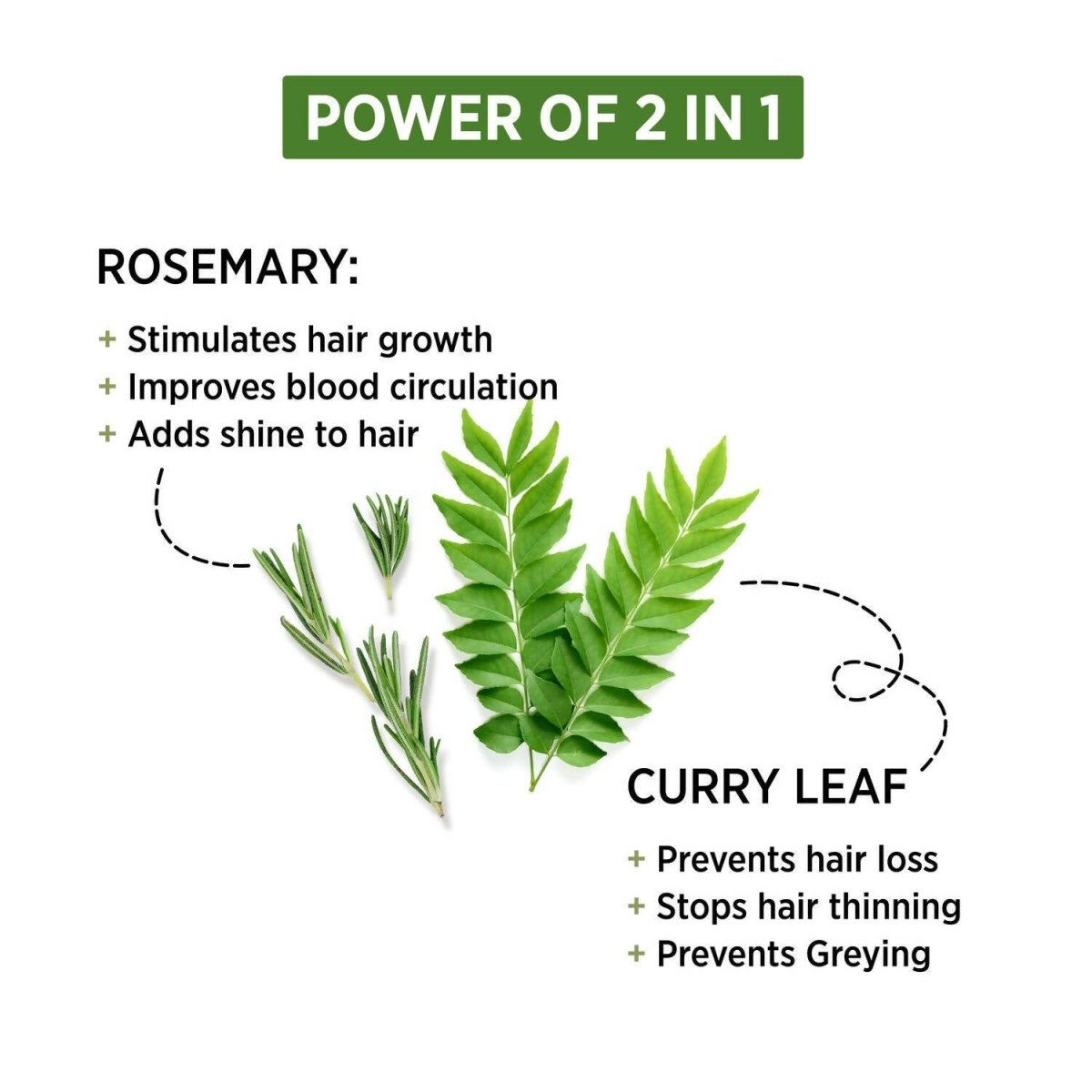 Alps Goodness Rosemary & Curry Leaf Powder - Swadesiicart