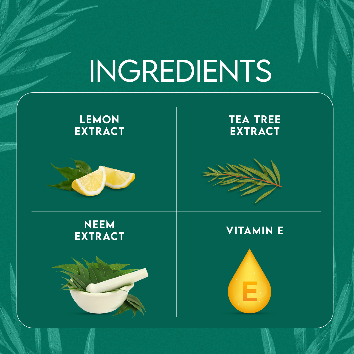 Jovees Tea Tree Oil Control Face Wash - Swadesiicart
