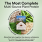 Wellbeing Nutrition Organic Plant Protein Isolate Dark Chocolate Hazelnut, 3B CFU Probiotics | Swadesiicart