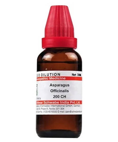 Dr. Willmar Schwabe India Asparagus Officinalis Dilution | Swadesiicart