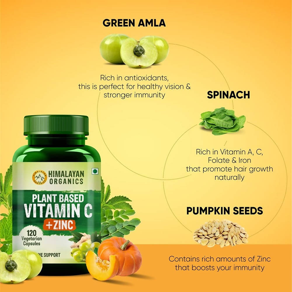 Himalayan Organics Plant Based Vitamin C + Zinc Double Immune Support Vegetarian Capsules | Swadesiicart