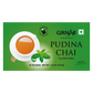 Girnar Black Tea Bags - Pudina | Swadesiicart
