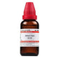 Dr. Willmar Schwabe India Allium Cepa Dilution | Swadesiicart