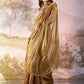 Brown Burberry Organza Solid Fancy Designer Saree - Nafisa