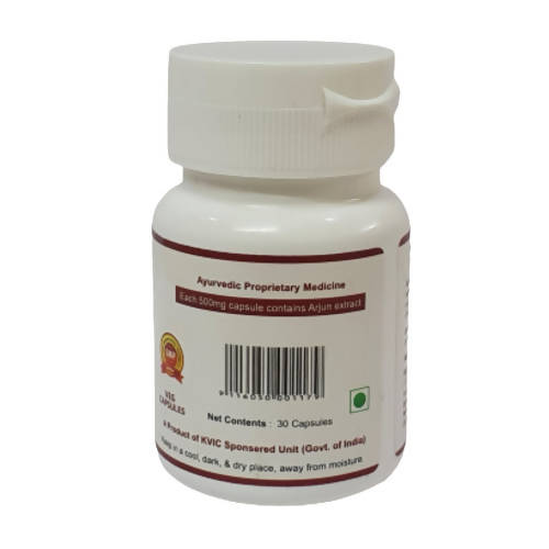 Deep Ayurveda Arjun 500mg Veg Capsules - Swadesiicart