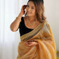 Attrctive Looking Gold Jari, Sequance Embroidery Work Twill Net Party Wear Saree - Gold