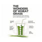 Wheatgrass Powder