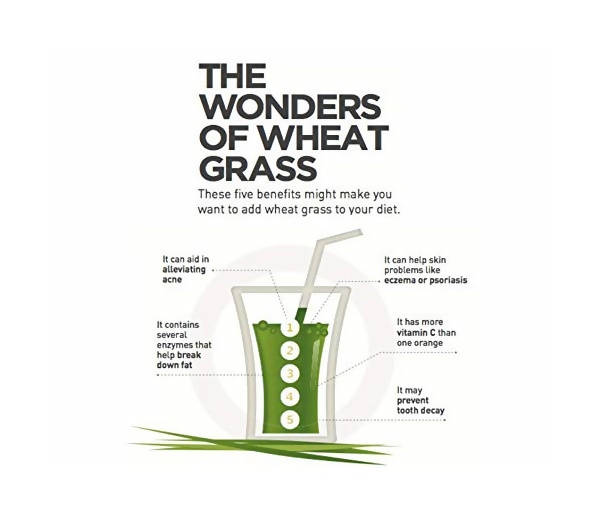 Wheatgrass Powder