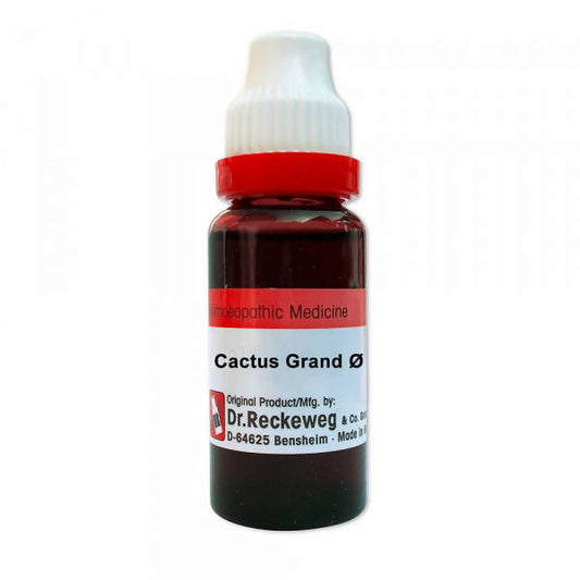 Dr. Reckeweg Cactus Grand Mother Tincture Q | Swadesiicart