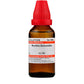 Dr. Willmar Schwabe India Wyethia Helenoides Dilution | Swadesiicart