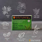 Soulflower Cool Aloe Vera Handmade Soap - Swadesiicart