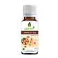 Oilcure Apricot Oil Cold Pressed - Oilcure Health & Beauty