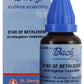 St. George's Bach Flower Remedies Star Of Bethlehem