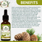 Luxura Sciences Organic Cedarwood Essential Oil - Swadesiicart