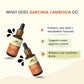 Rasayanam Garcinia Liquid - Swadesiicart
