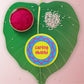 Indianvibez Caring Bhabhi Metal Rakhi/Lumba with Fridge Magnet - Kids Rakhi - Swadesiicart