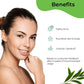 Pilgrim Australian Tea Tree Essential Oil For Hair, Skin Care, Acne & Pimples - Limited Time Offer - Swadesiicart