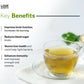 Love Earth Life Essentials Organic tea (Slim Tox Energy) - Swadesiicart