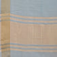 Shree Shyam Fashion Seoul Sea Green Organza Saree