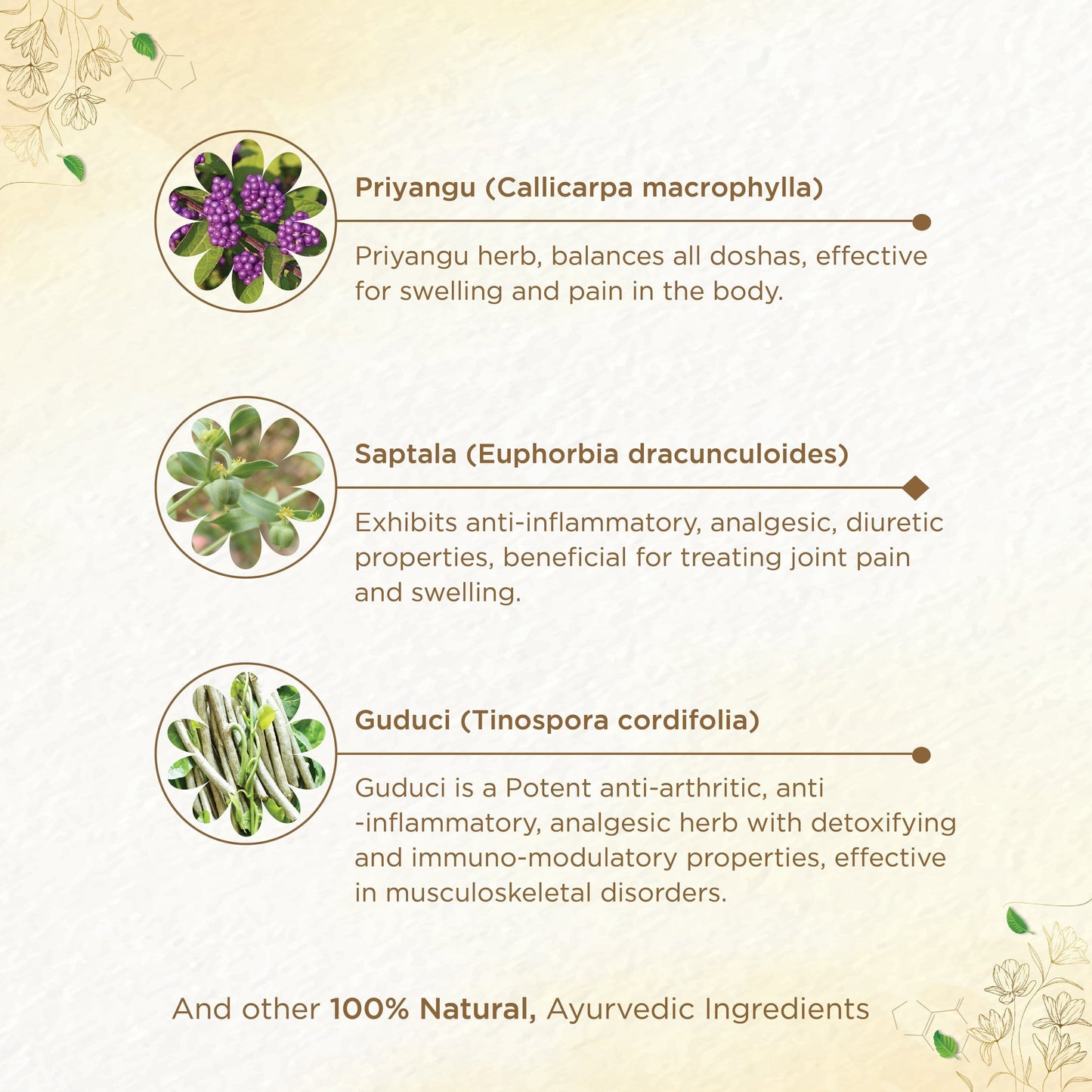 Shreevarma Rheunil Capsules | Swadesiicart