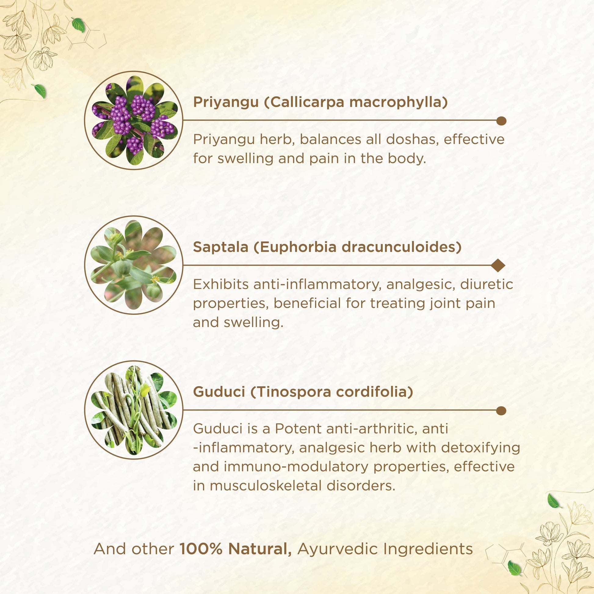 Shreevarma Rheunil Capsules | Swadesiicart