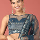 House of Panchhi Navy Blue Net Sequinse Work Lehenga & Blouse, Dupatta | Swadesiicart