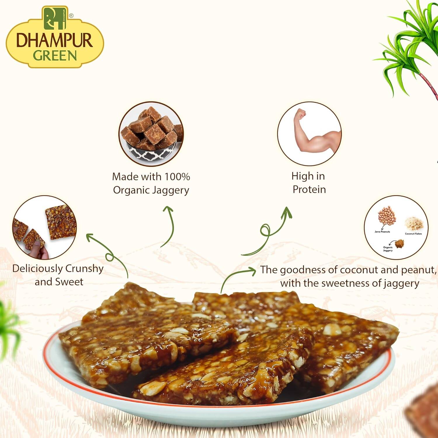 Dhampur Green Coconut Peanut Chikki | Swadesiicart