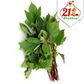 21Pickles Gongura Pickle - Swadesiicart