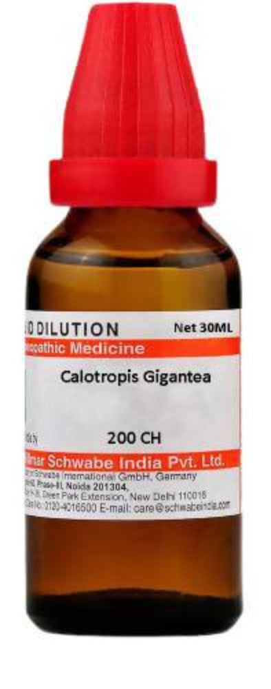 Dr. Willmar Schwabe India Calotropis Gigantea Dilution | Swadesiicart