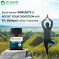 Dr. Vaidya's Giloy Capsules - Swadesiicart