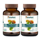 Rhodiola