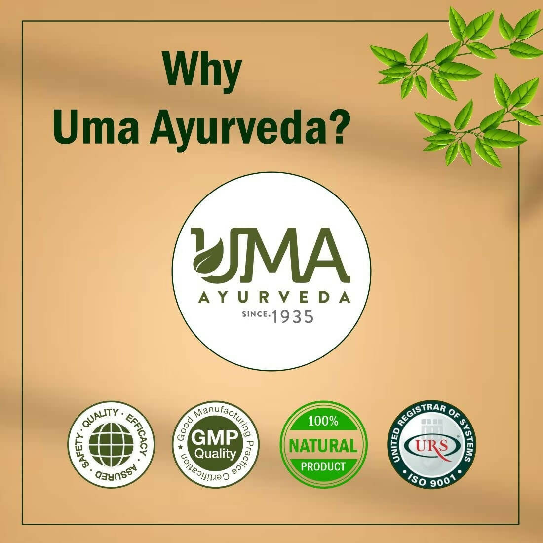 Uma Ayurveda Sanjeevani Vati - Swadesiicart
