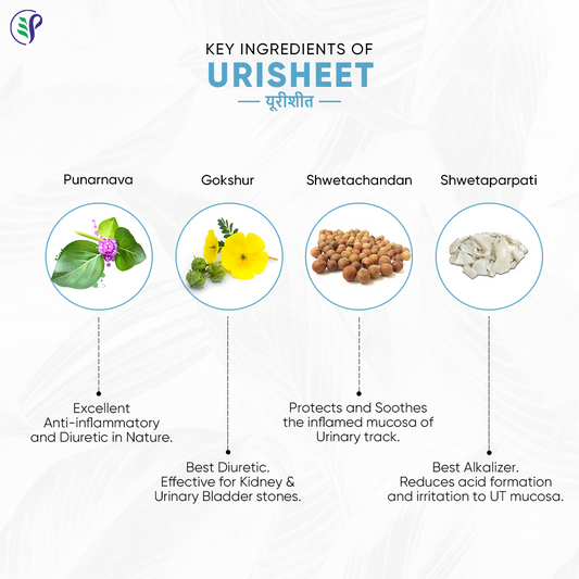 Pathak Ayurvedic Pharmacy Urisheet Tablets - Swadesiicart